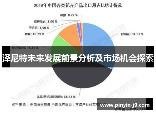 泽尼特未来发展前景分析及市场机会探索 泽尼特未来发展前景分析及市场机会探索