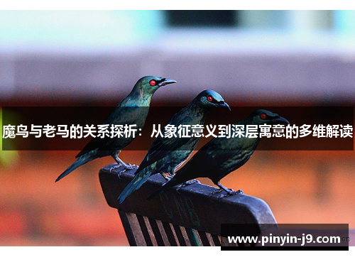 魔鸟与老马的关系探析:从象征意义到深层寓意的多维解读 魔鸟与老马的关系探析:从象征意义到深层寓意的多维解读