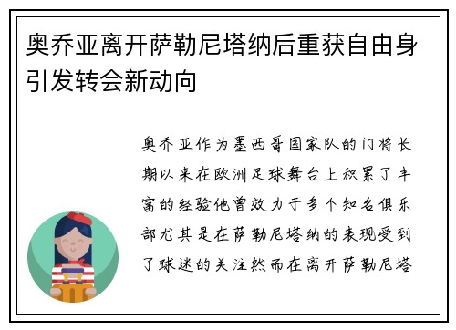 奥乔亚离开萨勒尼塔纳后重获自由身引发转会新动向 奥乔亚离开萨勒尼塔纳后重获自由身引发转会新动向